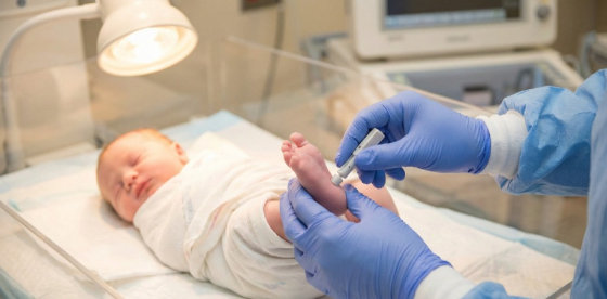 Screening neonatale della drepanocitosi