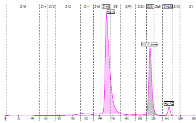 Scheda clinica caso 14 paziente 3 